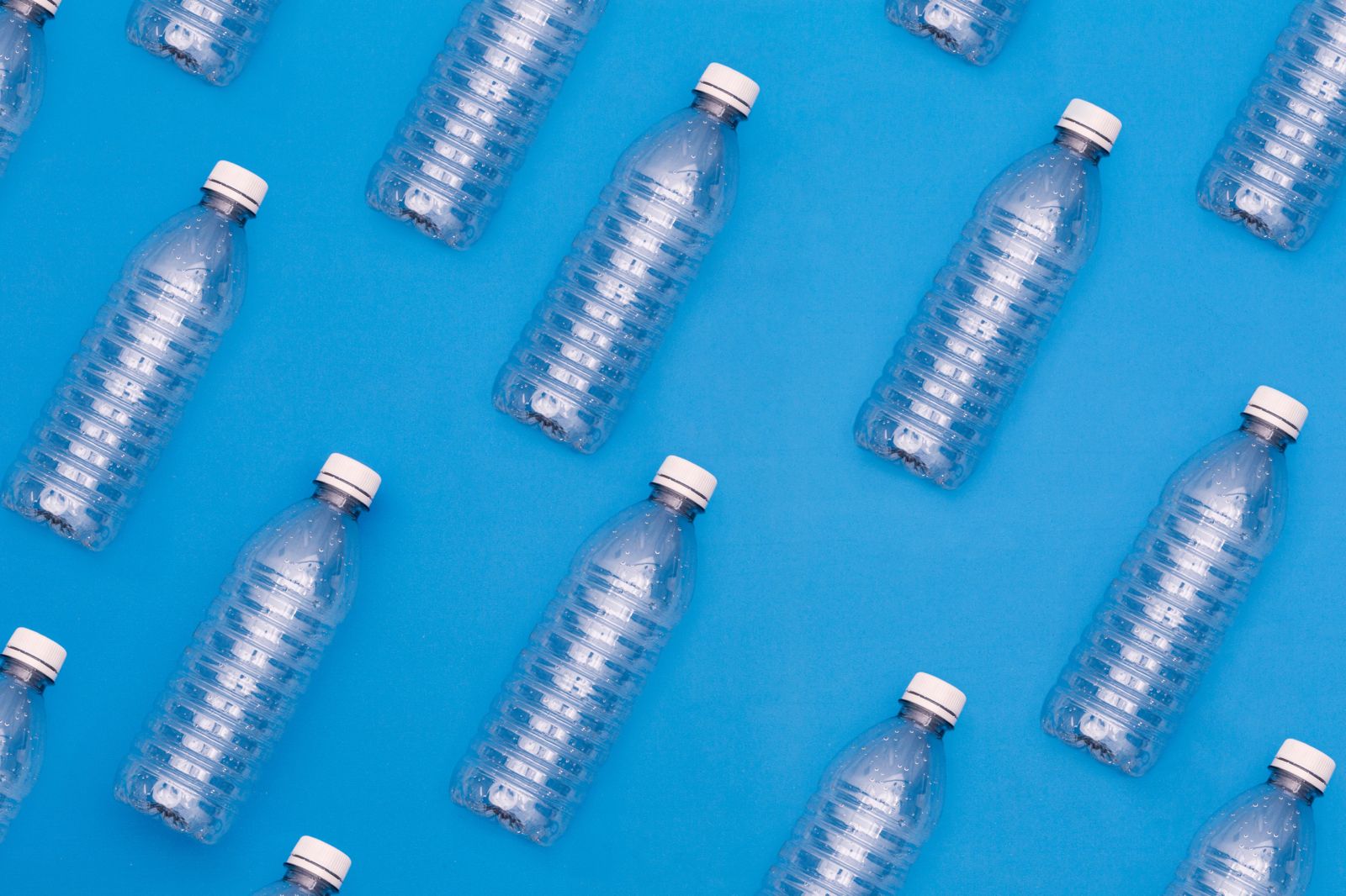 Plastic Pollution