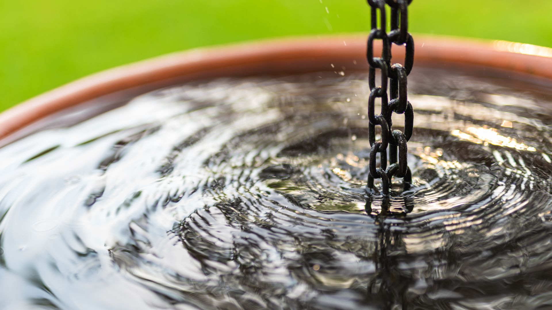 Water wisdom