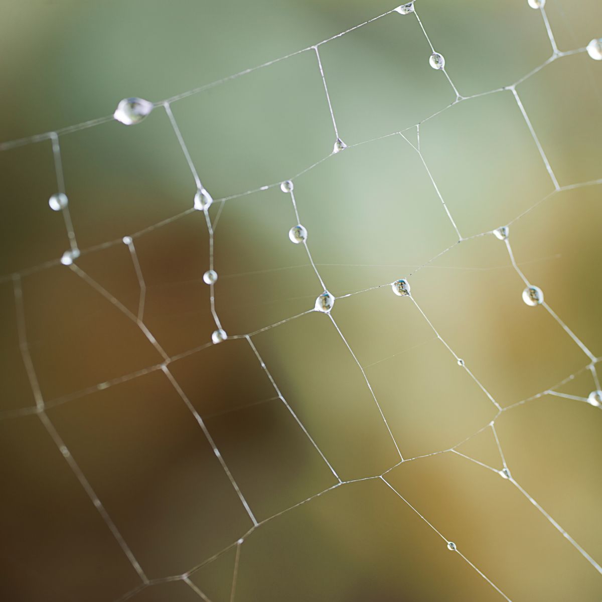 The Idea Behind Atmospheric Water Is Older Than You Think